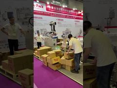 पैलेट कार्गो के लिए स्वचालित पैलेटाइजिंग